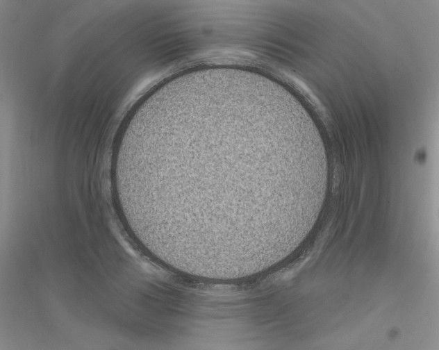 X0000116870986201002021123