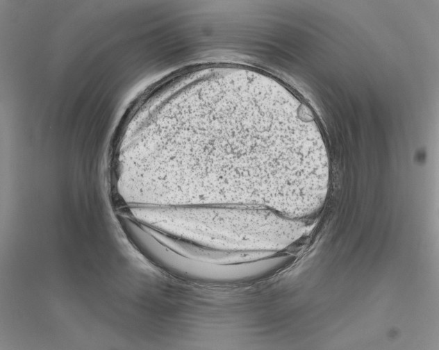 X0000116870987201002021123