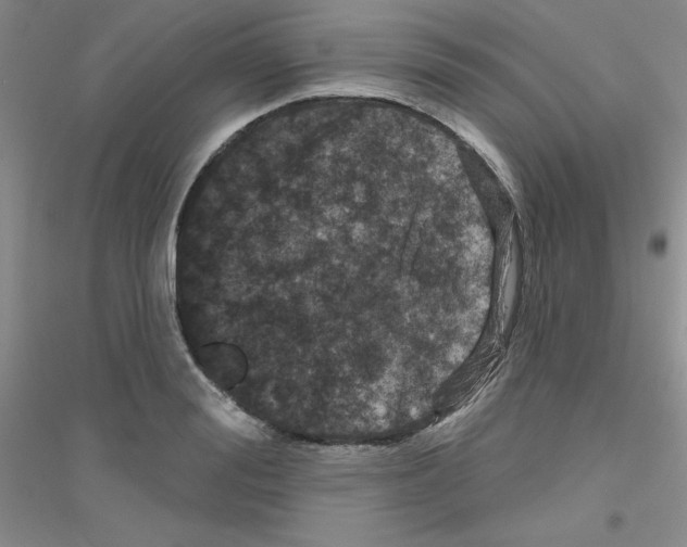 X0000116870988201002021123