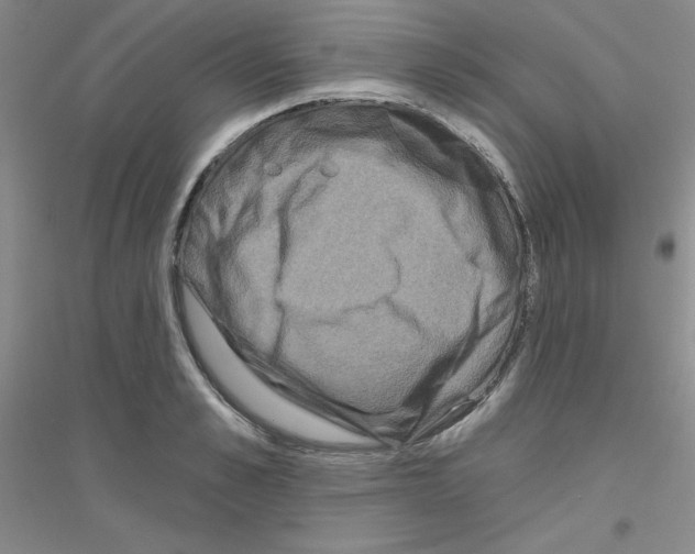 X0000116870989201002021123