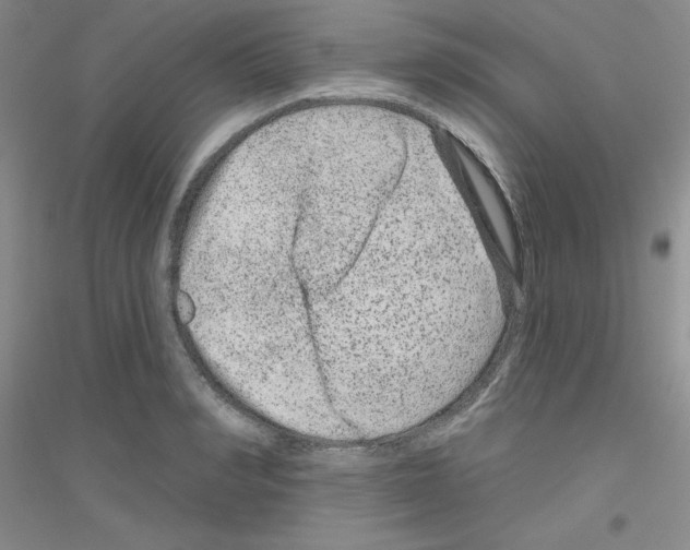 X0000116870990201002021123