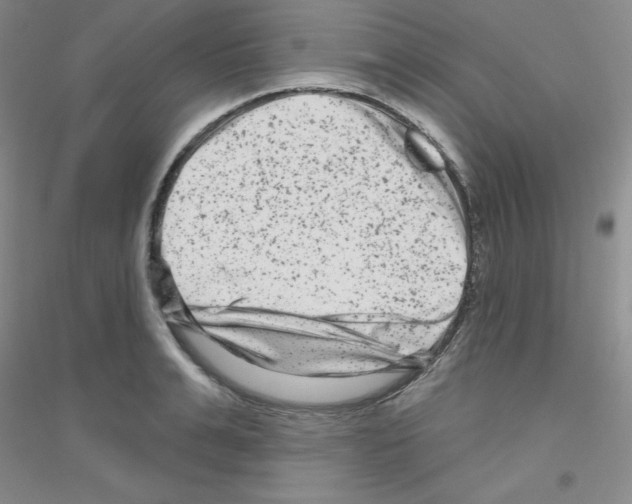 X0000116870991201002021123