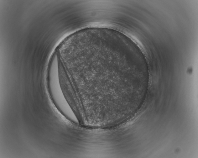 X0000116870992201002021123