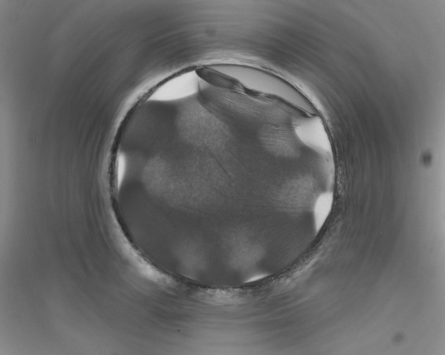 X0000116870995201002021123