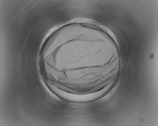 X0000116870997201002021123