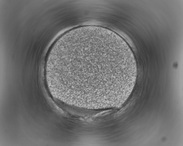X0000116871000201002021123