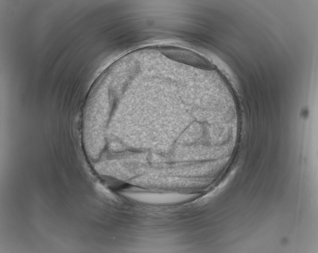 X0000116871001201002021123