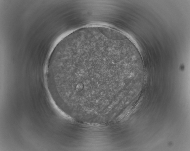 X0000116871003201002021123