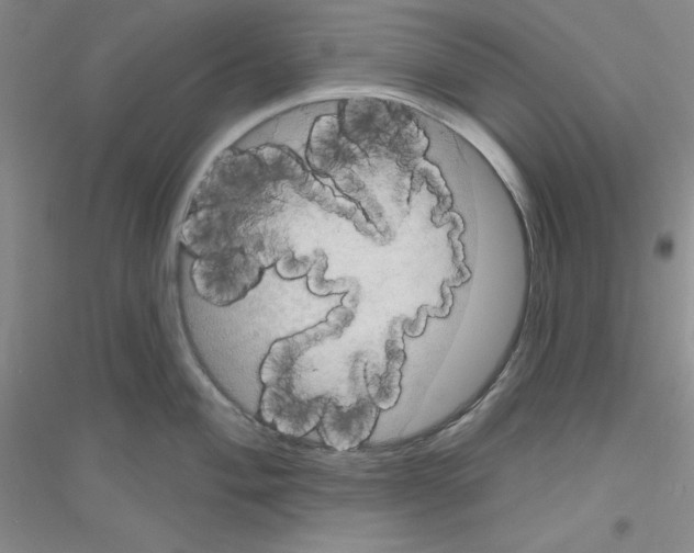 X0000116871004201002021123