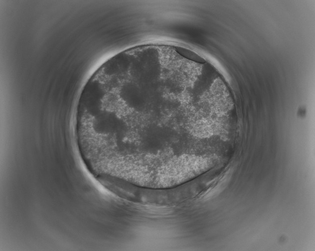 X0000116871007201002021123