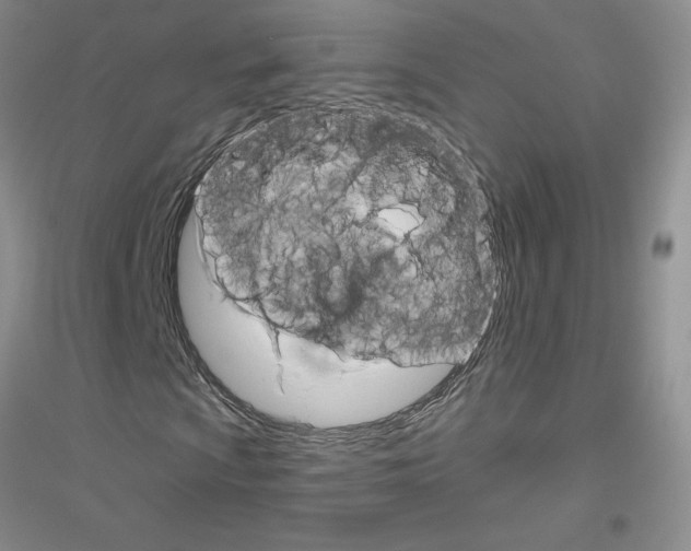 X0000116871009201002021122
