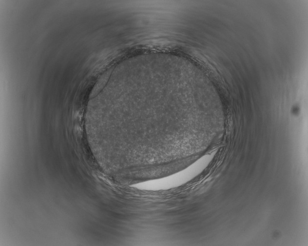 X0000116871010201002021122