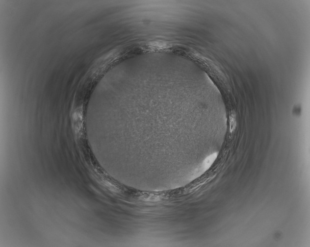 X0000116871011201002021122