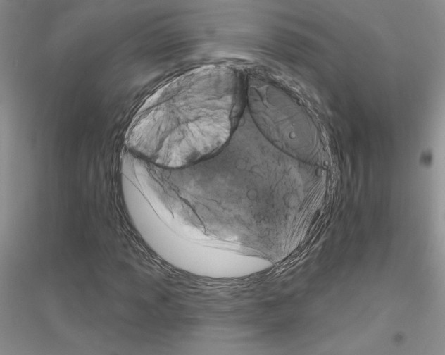 X0000116871013201002021122