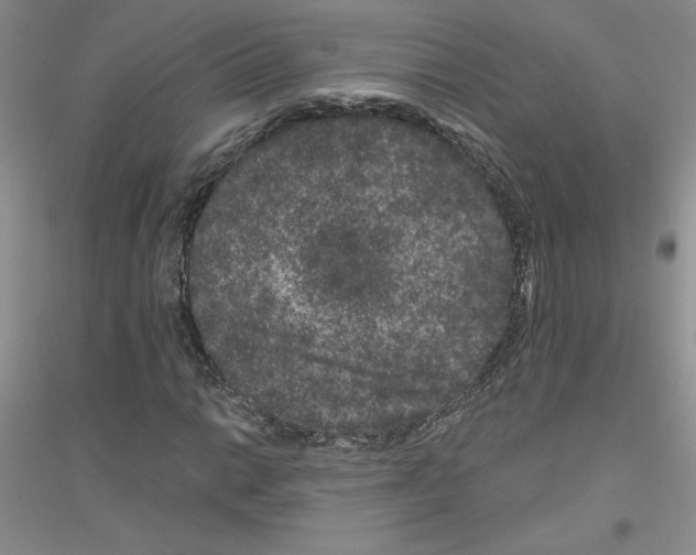 X0000116871014201002021123