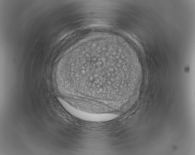 X0000116871015201002021123