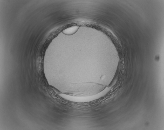 X0000116871016201002021123