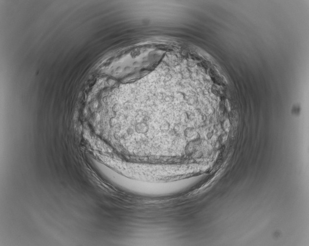 X0000116871017201002021123