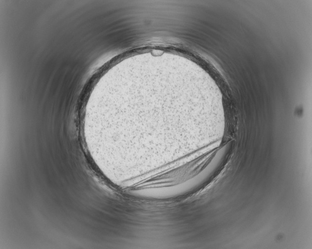 X0000116871018201002021123