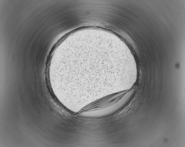 X0000116871020201002021123
