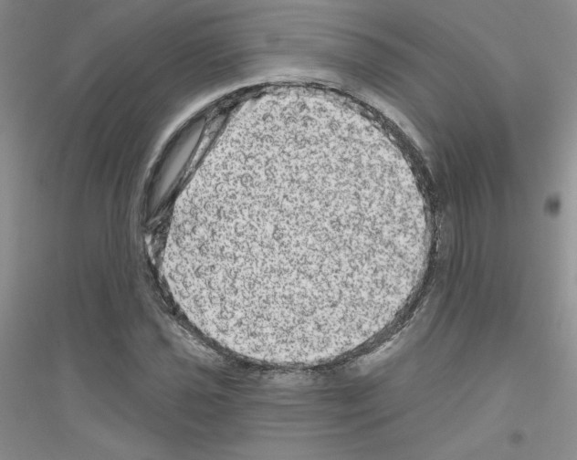 X0000116871021201002021123