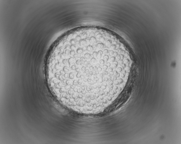X0000116871022201002021123