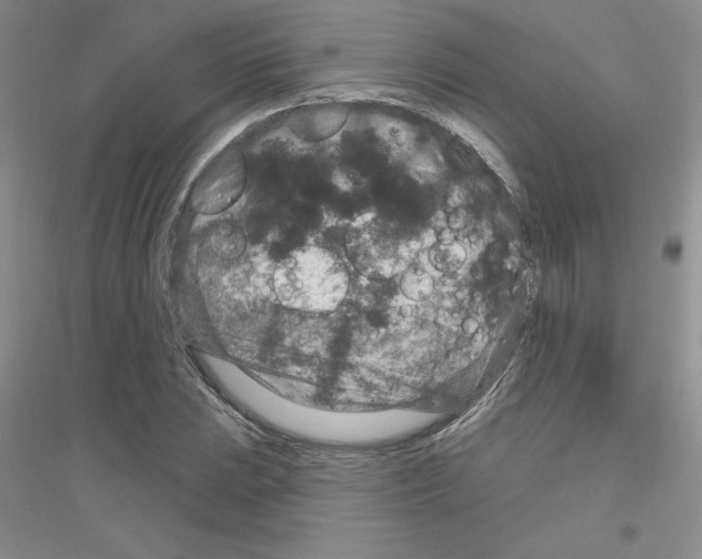X0000116871023201002021123