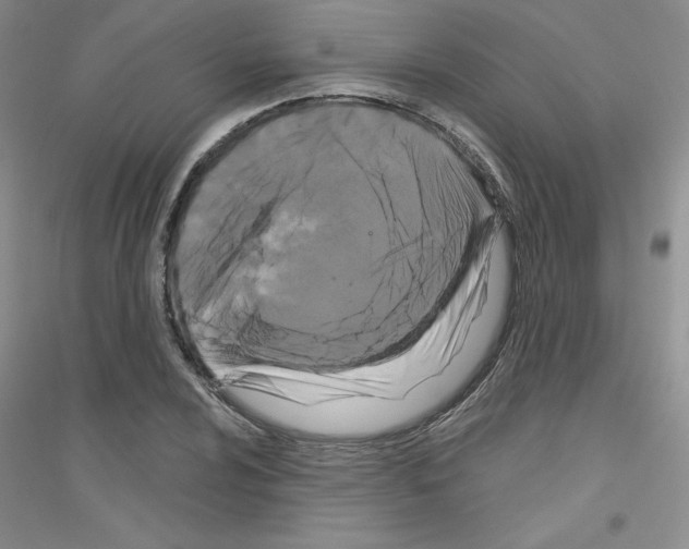 X0000116871024201002021123