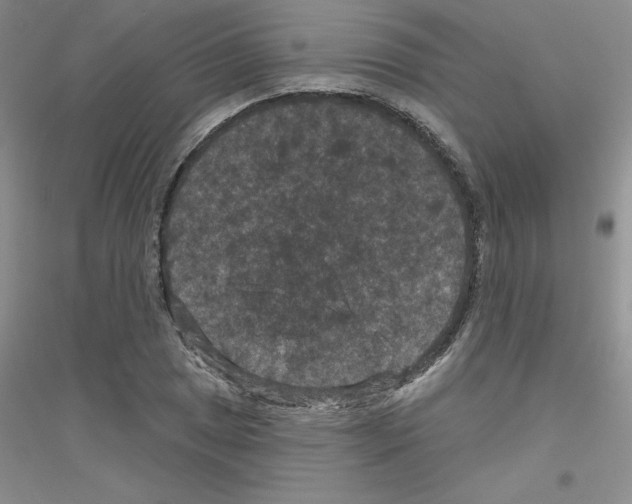 X0000116871025201002021123