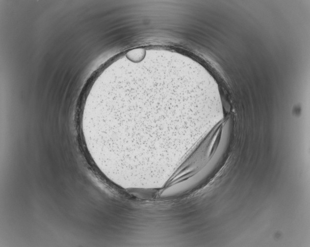 X0000116871026201002021123