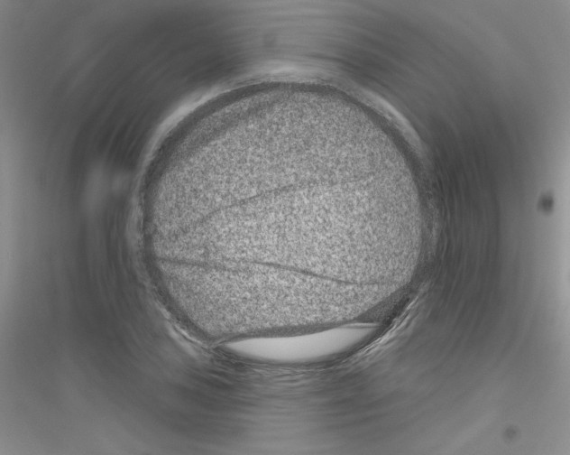 X0000116871027201002021123
