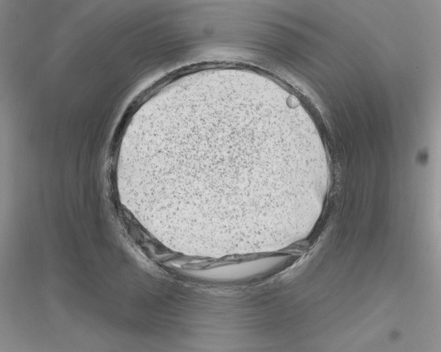 X0000116871029201002021123