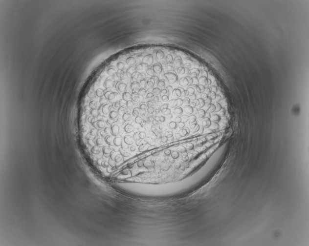 X0000116871030201002021123