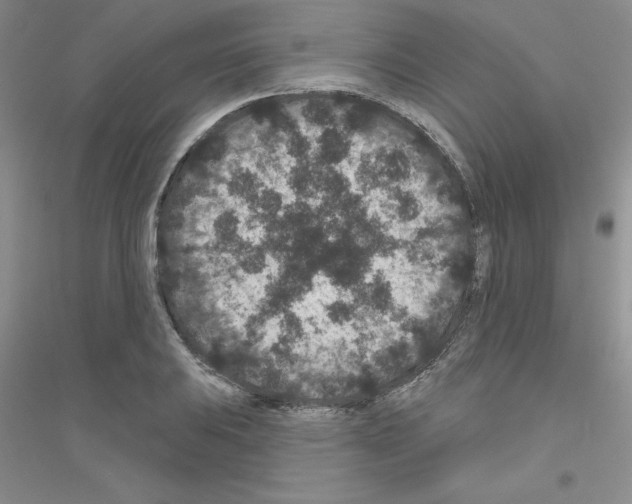 X0000116871031201002021123