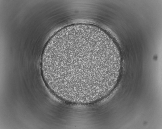 X0000116871033201002021123
