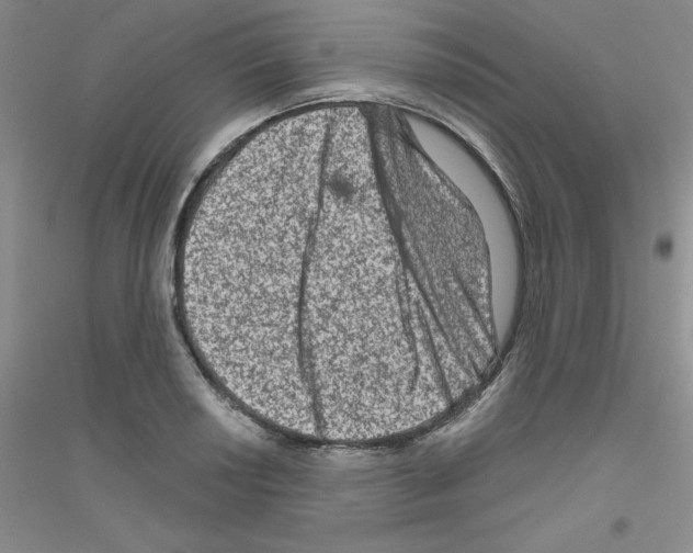 X0000116871034201002021123