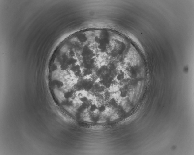 X0000116871035201002021123
