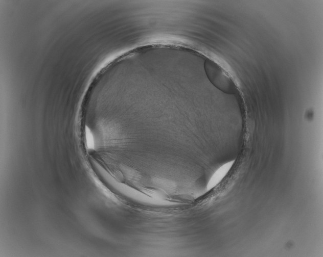 X0000116871037201002021123