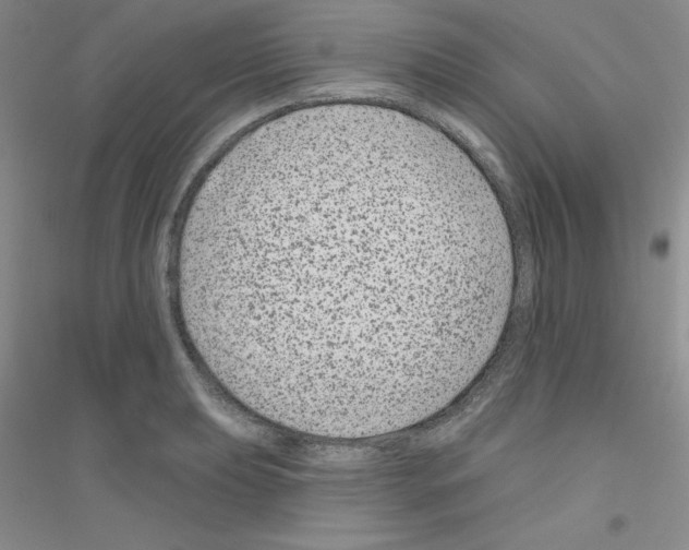 X0000116871039201002021123