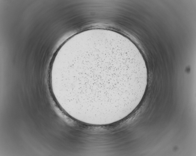X0000116871042201002021123