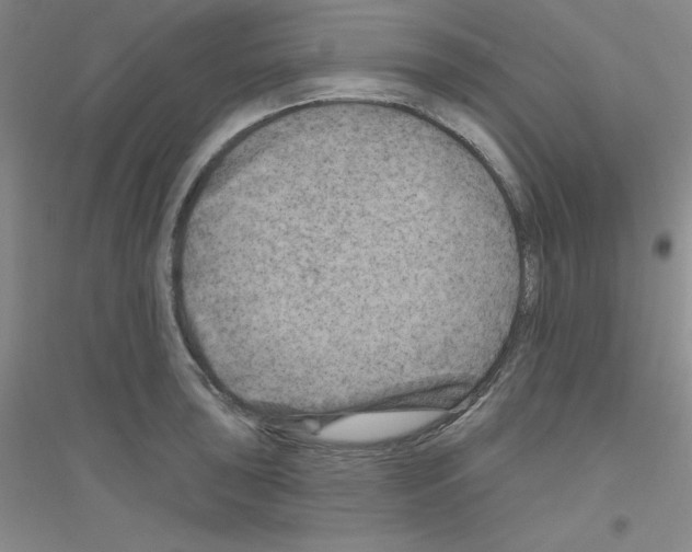 X0000116871043201002021123