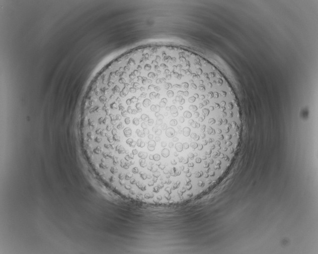 X0000116871044201002021123