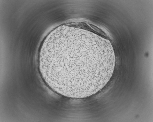 X0000116871046201002021123