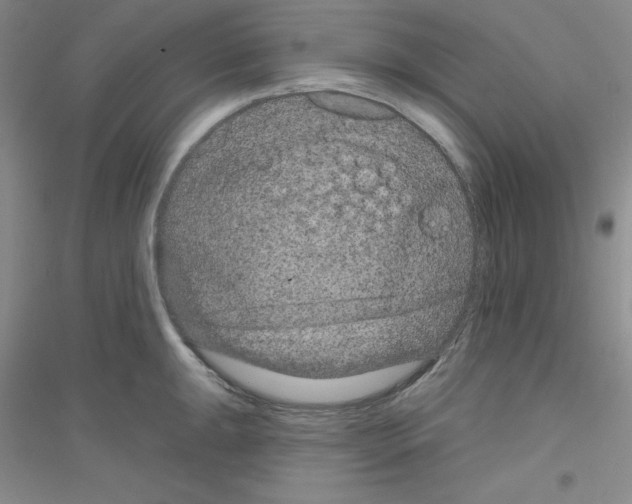 X0000116871047201002021123