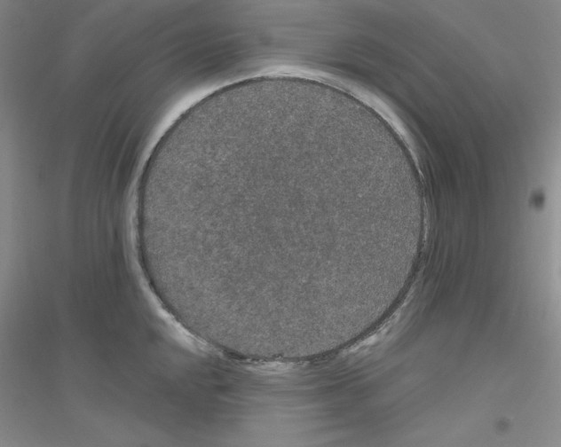 X0000116871048201002021123