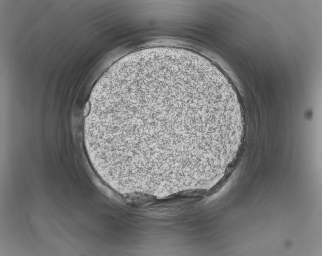 X0000116871049201002021123