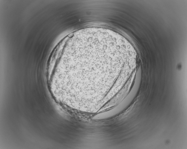 X0000116871050201002021123
