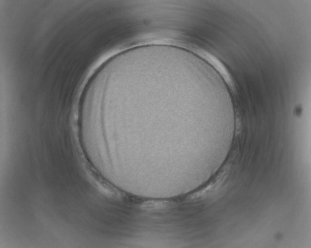 X0000116871051201002021123