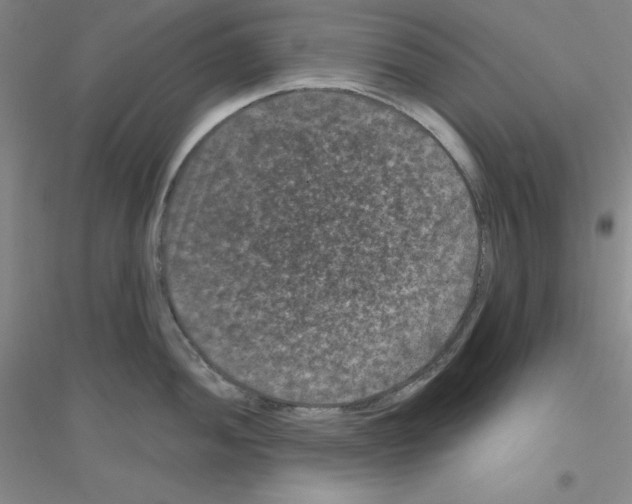 X0000116871052201002021123