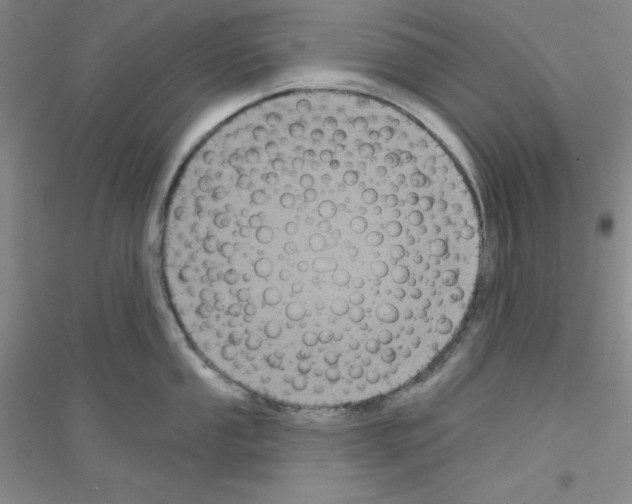 X0000116871053201002021123